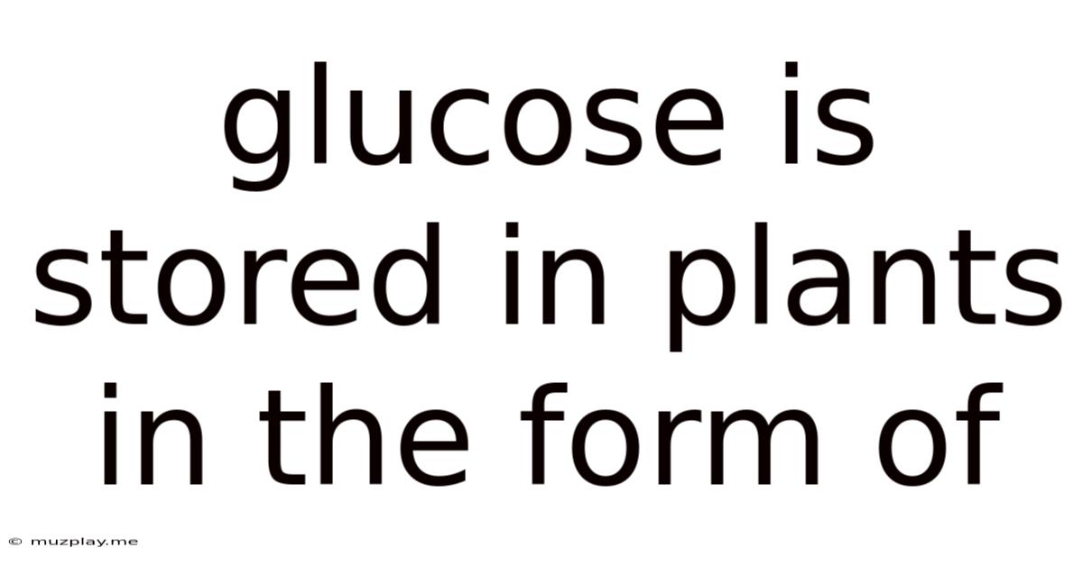 Glucose Is Stored In Plants In The Form Of