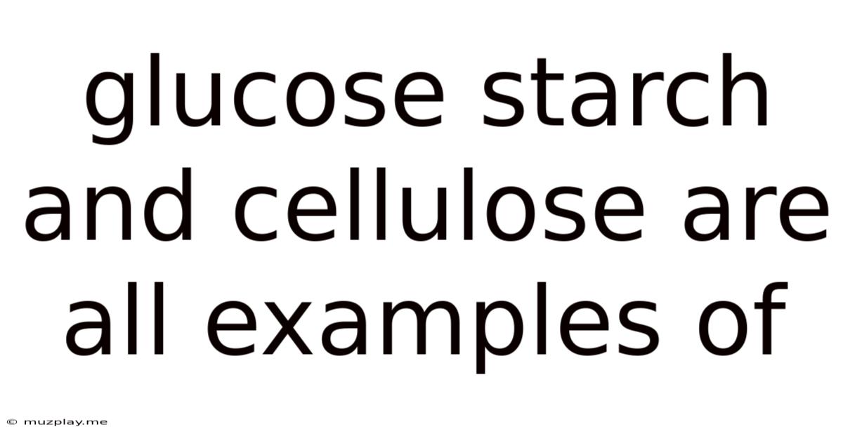 Glucose Starch And Cellulose Are All Examples Of