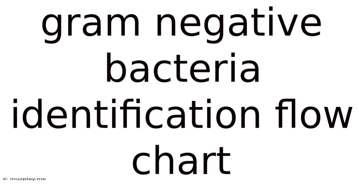 Gram Negative Bacteria Identification Flow Chart