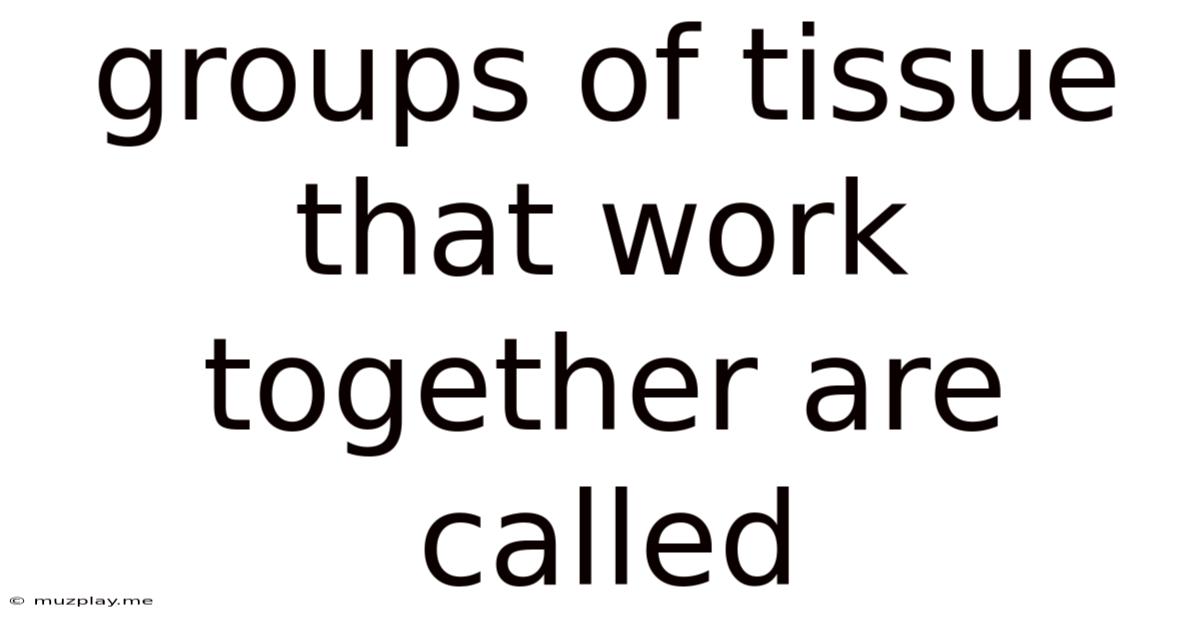 Groups Of Tissue That Work Together Are Called