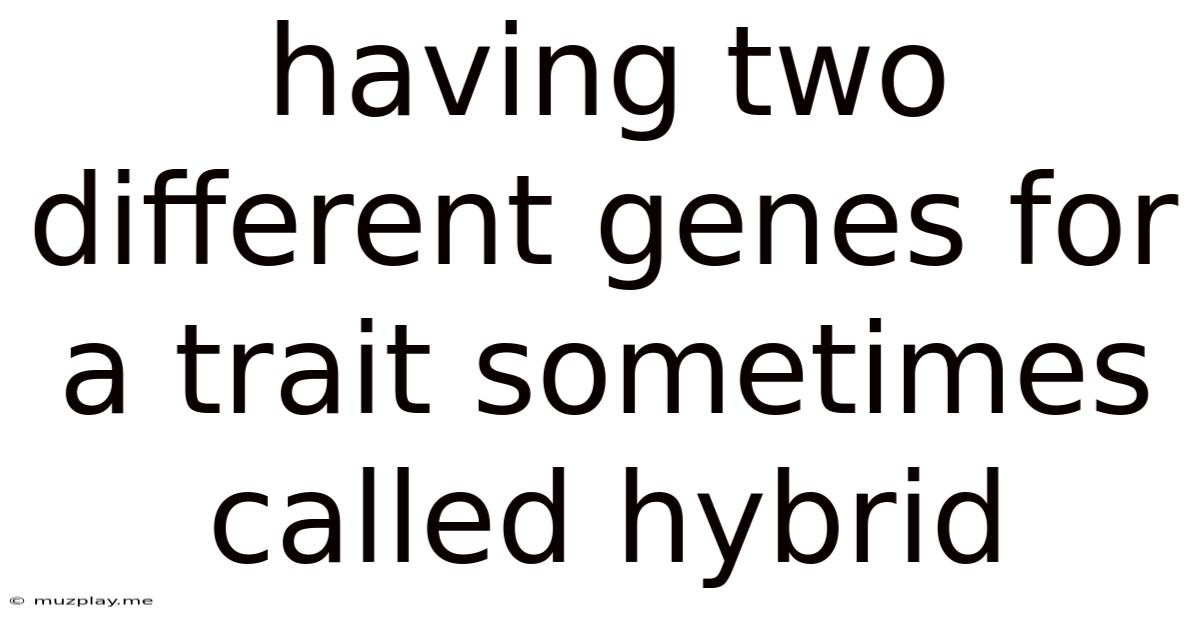 Having Two Different Genes For A Trait Sometimes Called Hybrid