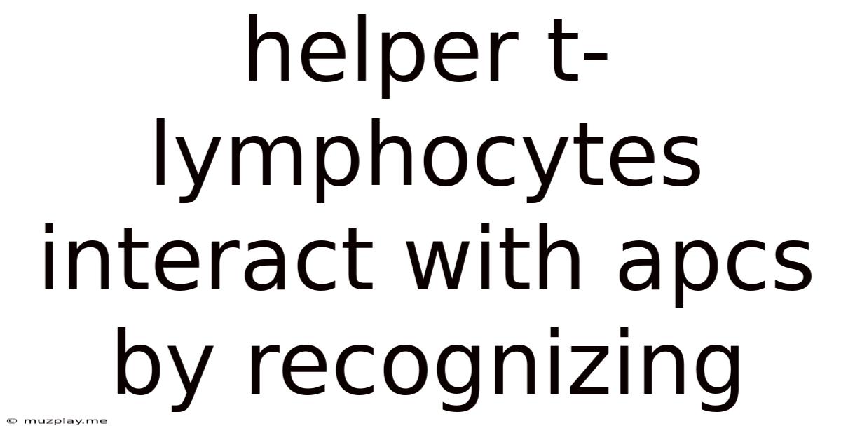 Helper T-lymphocytes Interact With Apcs By Recognizing