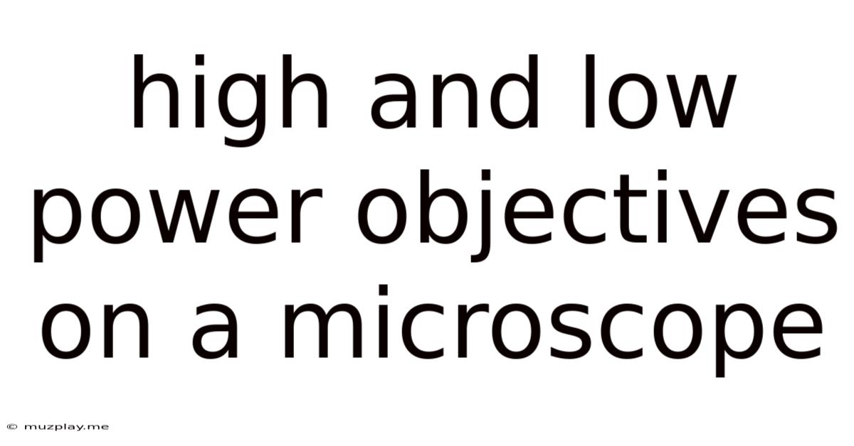 High And Low Power Objectives On A Microscope