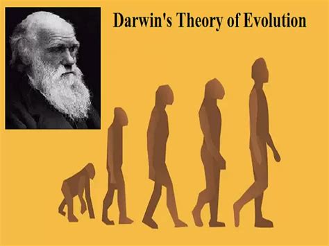 His Theory Of Evolution Unifies All Of Biology