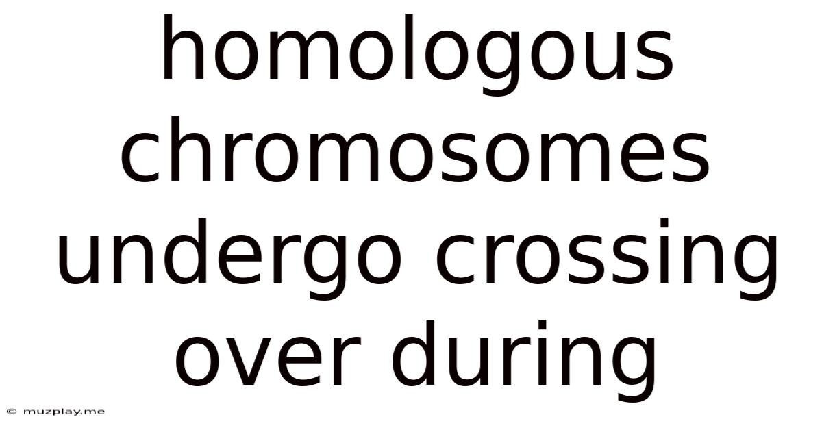 Homologous Chromosomes Undergo Crossing Over During