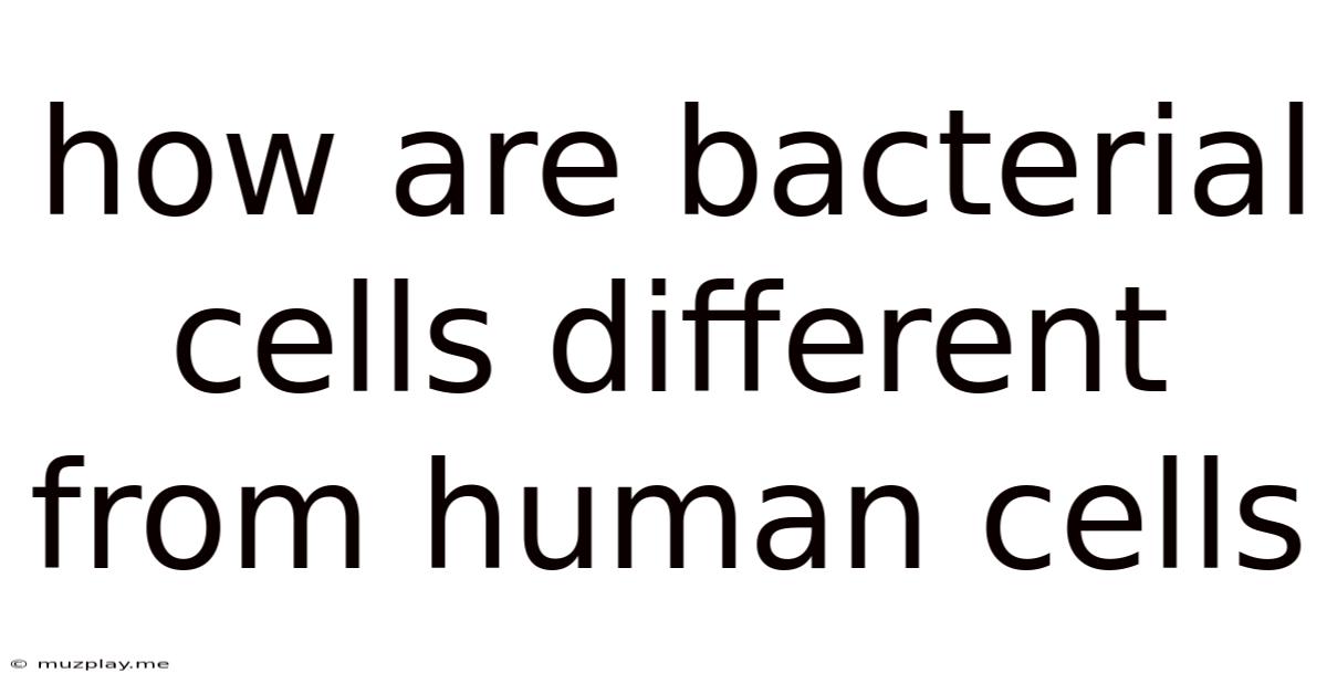 How Are Bacterial Cells Different From Human Cells