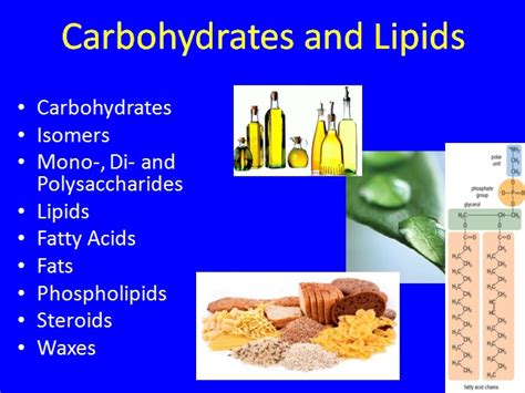 How Are Carbohydrates And Lipids Different