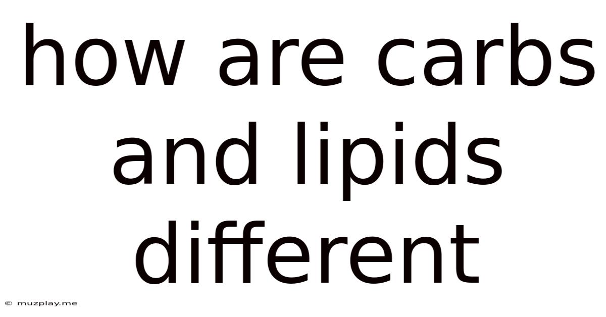 How Are Carbs And Lipids Different