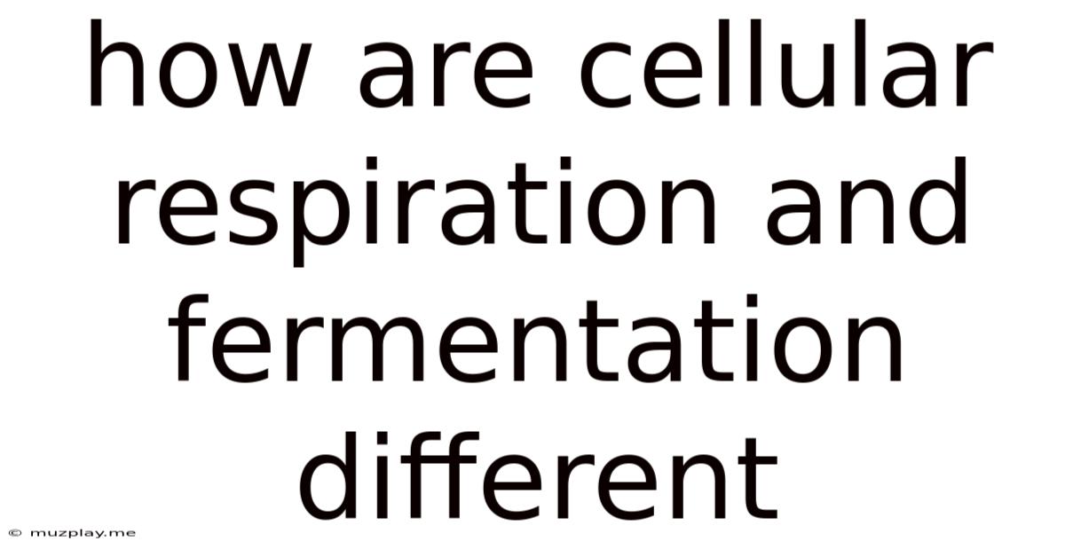 How Are Cellular Respiration And Fermentation Different