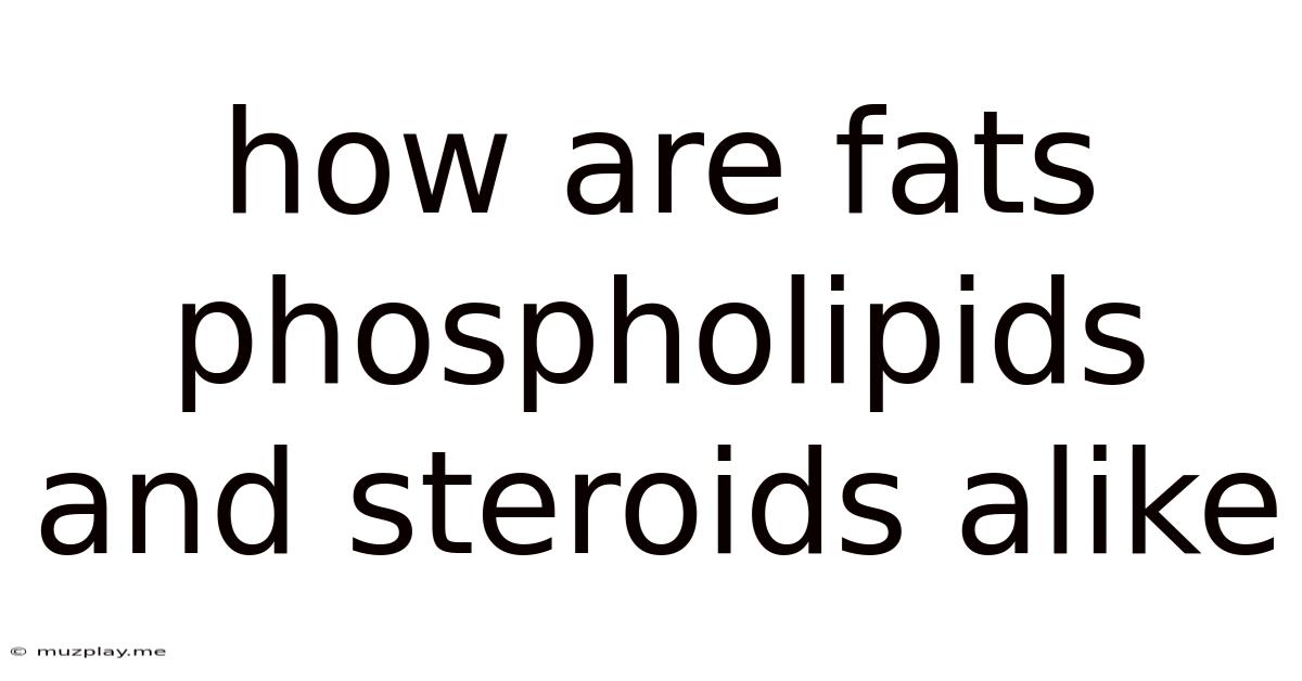 How Are Fats Phospholipids And Steroids Alike