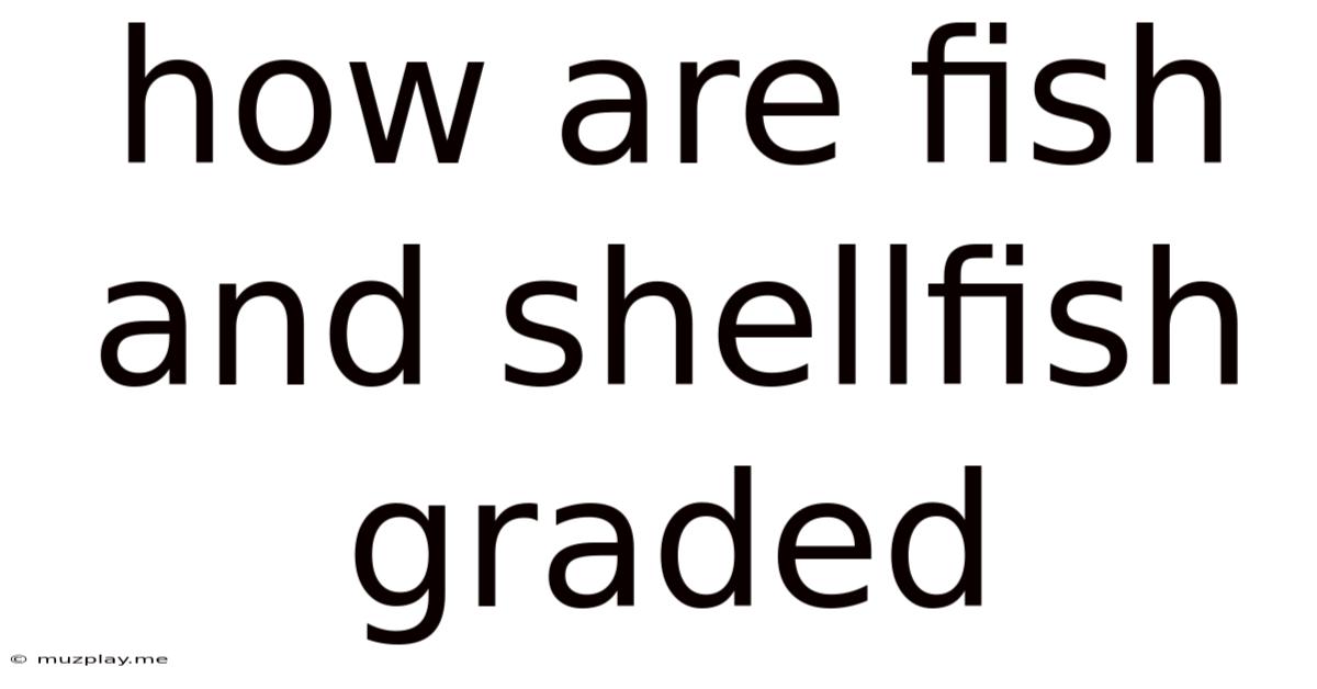 How Are Fish And Shellfish Graded