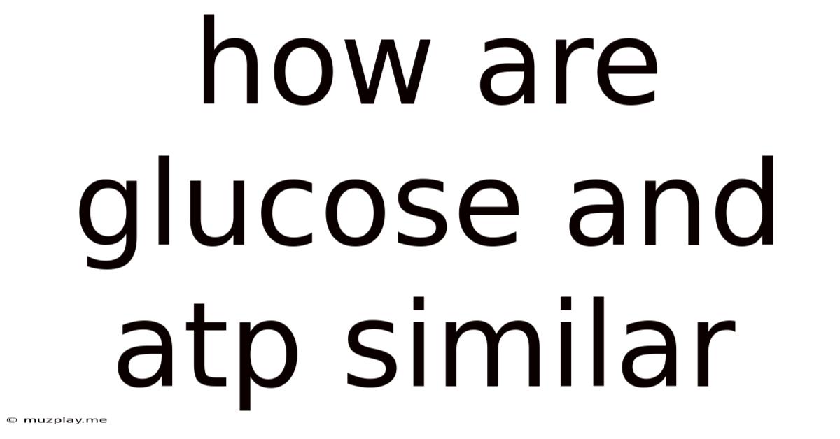 How Are Glucose And Atp Similar