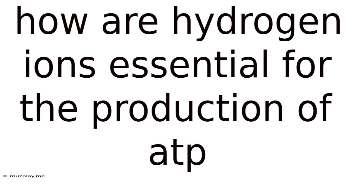 How Are Hydrogen Ions Essential For The Production Of Atp