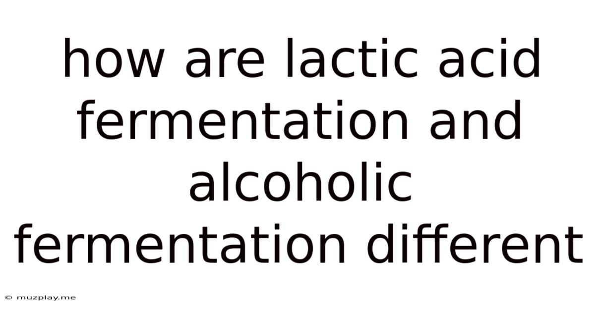 How Are Lactic Acid Fermentation And Alcoholic Fermentation Different