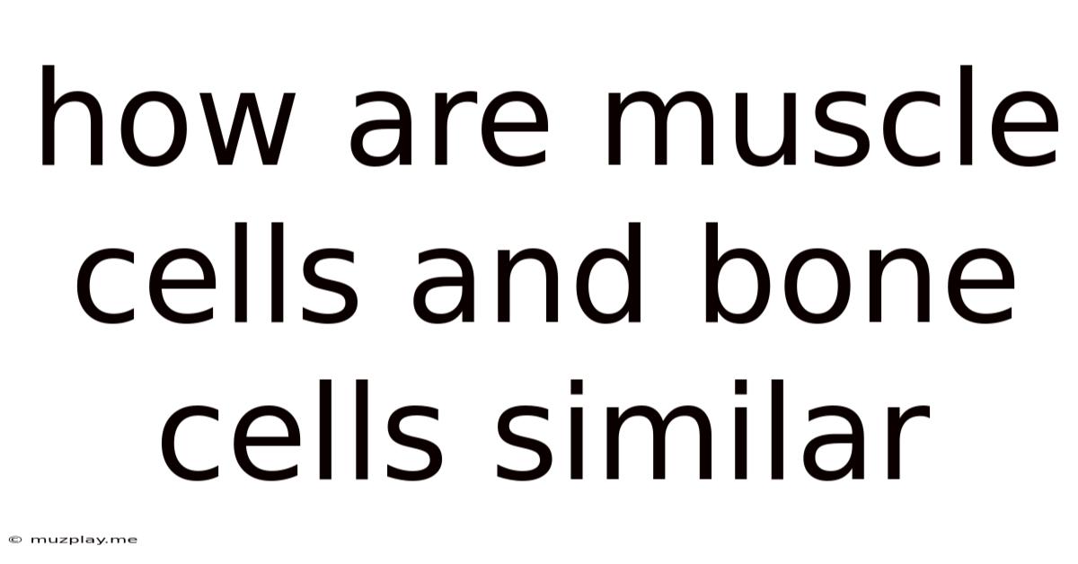 How Are Muscle Cells And Bone Cells Similar