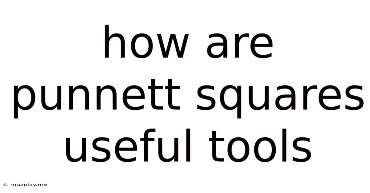 How Are Punnett Squares Useful Tools