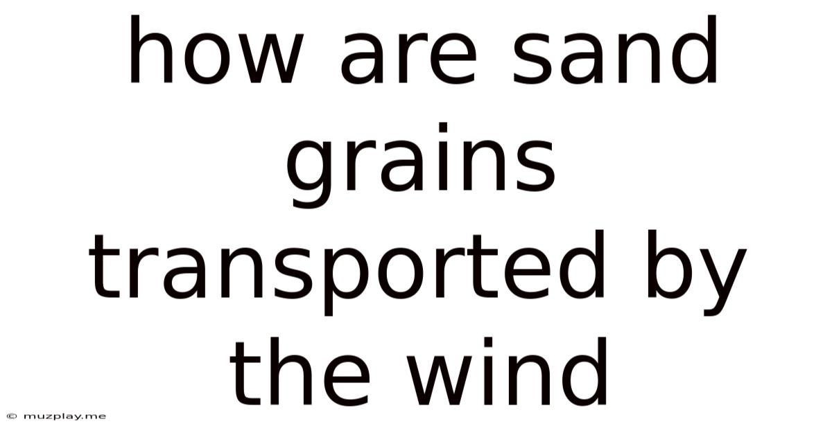 How Are Sand Grains Transported By The Wind