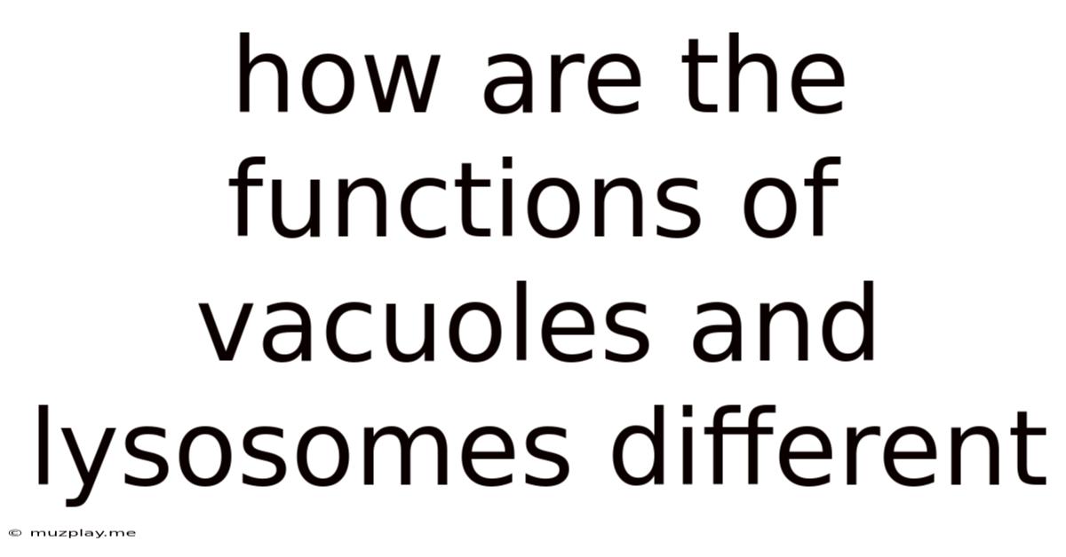 How Are The Functions Of Vacuoles And Lysosomes Different