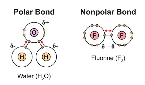 How Can A Molecule With Polar Bonds Be Nonpolar