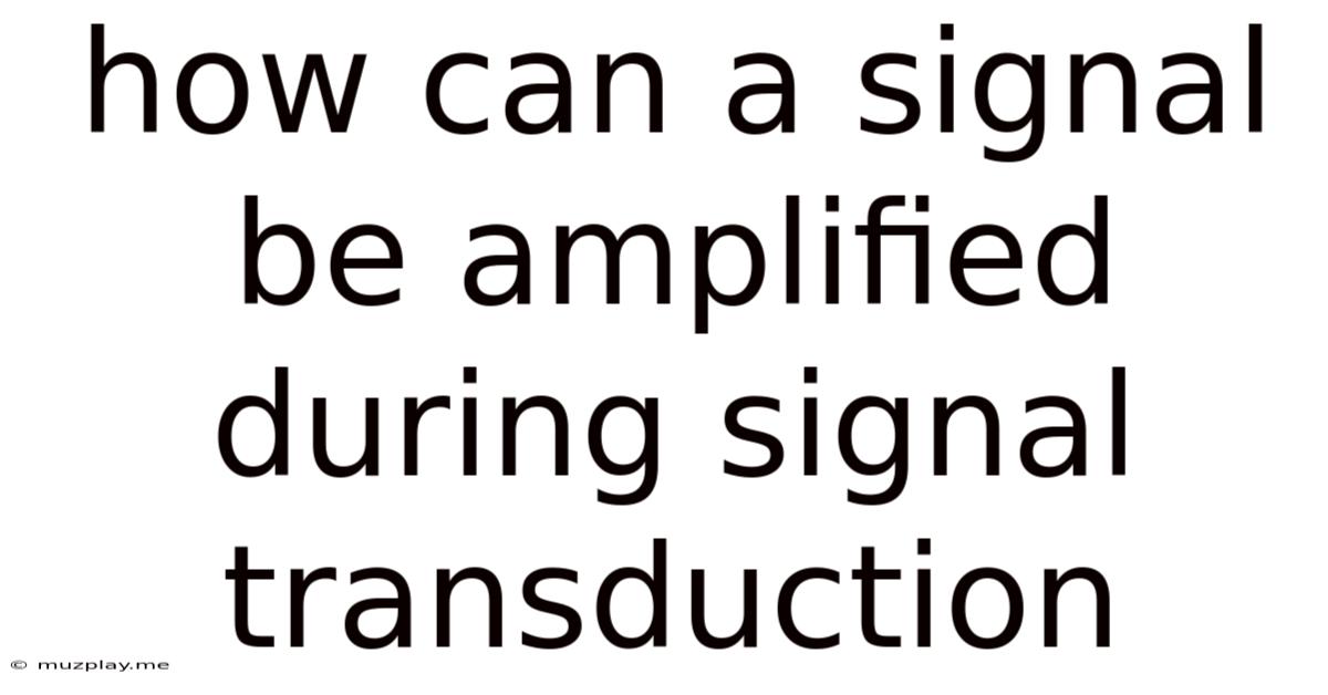 How Can A Signal Be Amplified During Signal Transduction