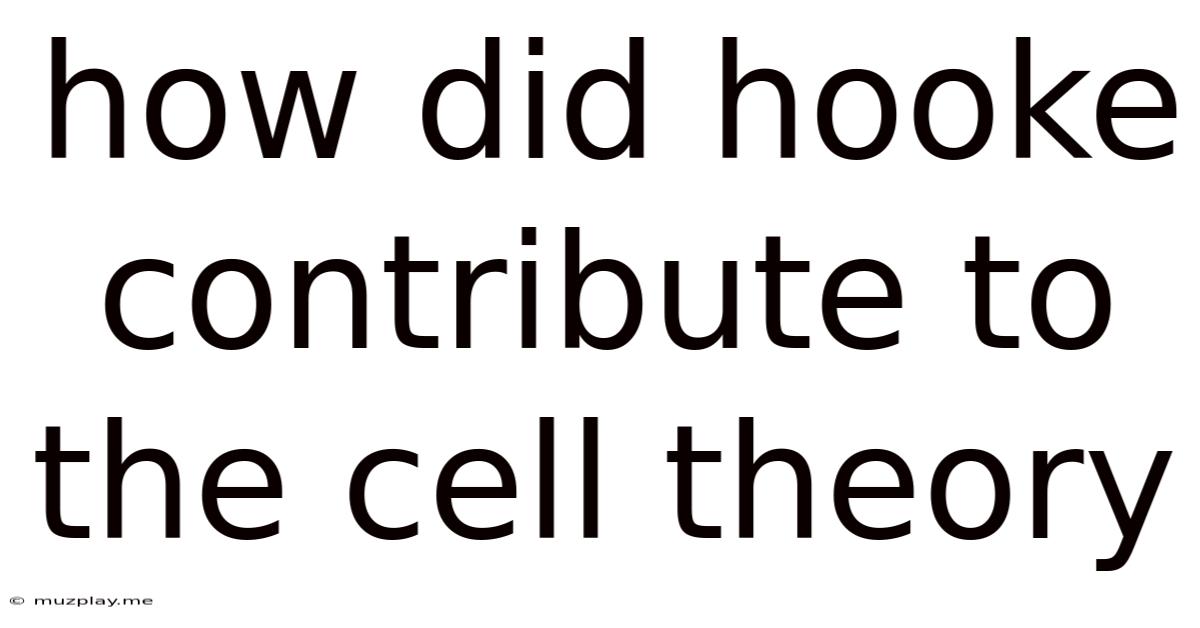 How Did Hooke Contribute To The Cell Theory