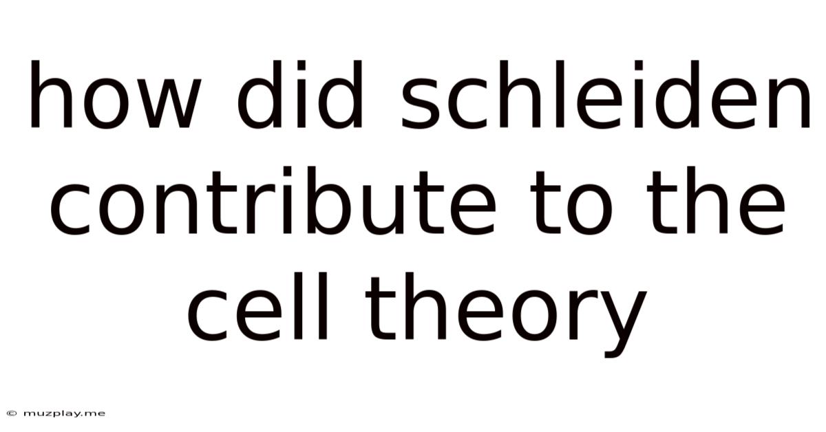 How Did Schleiden Contribute To The Cell Theory