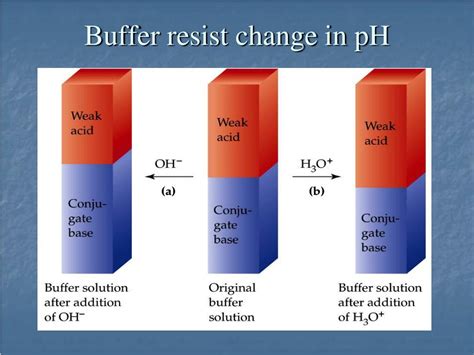 How Do Buffers Resist Changes In Ph