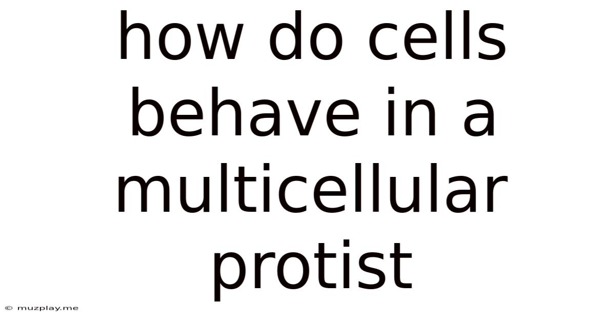 How Do Cells Behave In A Multicellular Protist