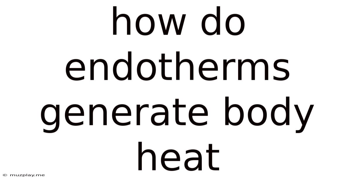 How Do Endotherms Generate Body Heat