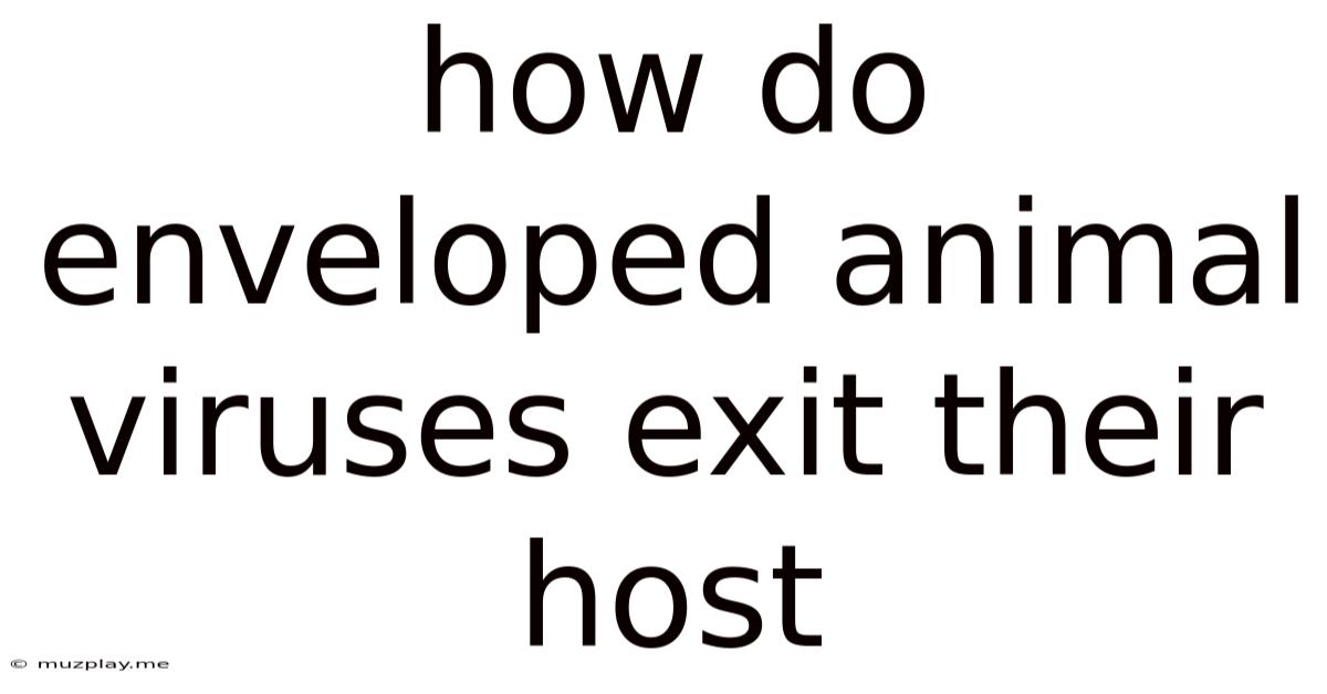 How Do Enveloped Animal Viruses Exit Their Host