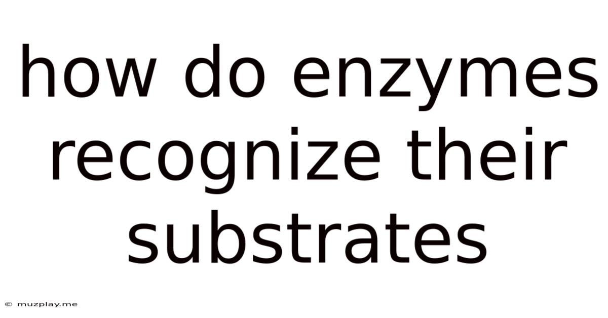 How Do Enzymes Recognize Their Substrates