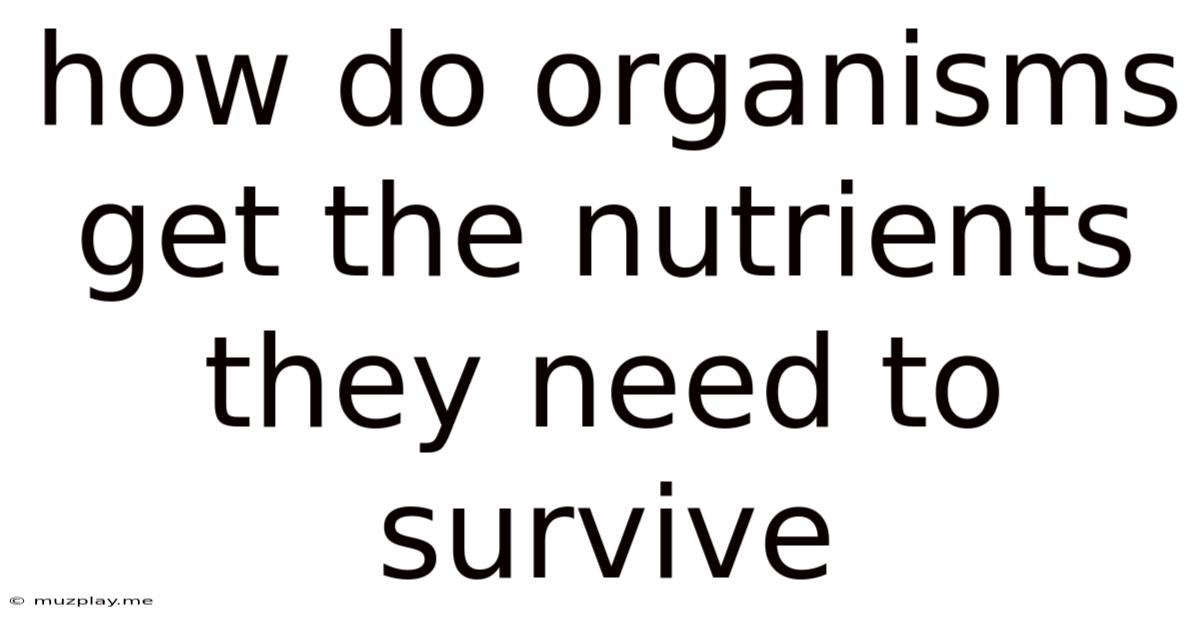 How Do Organisms Get The Nutrients They Need To Survive