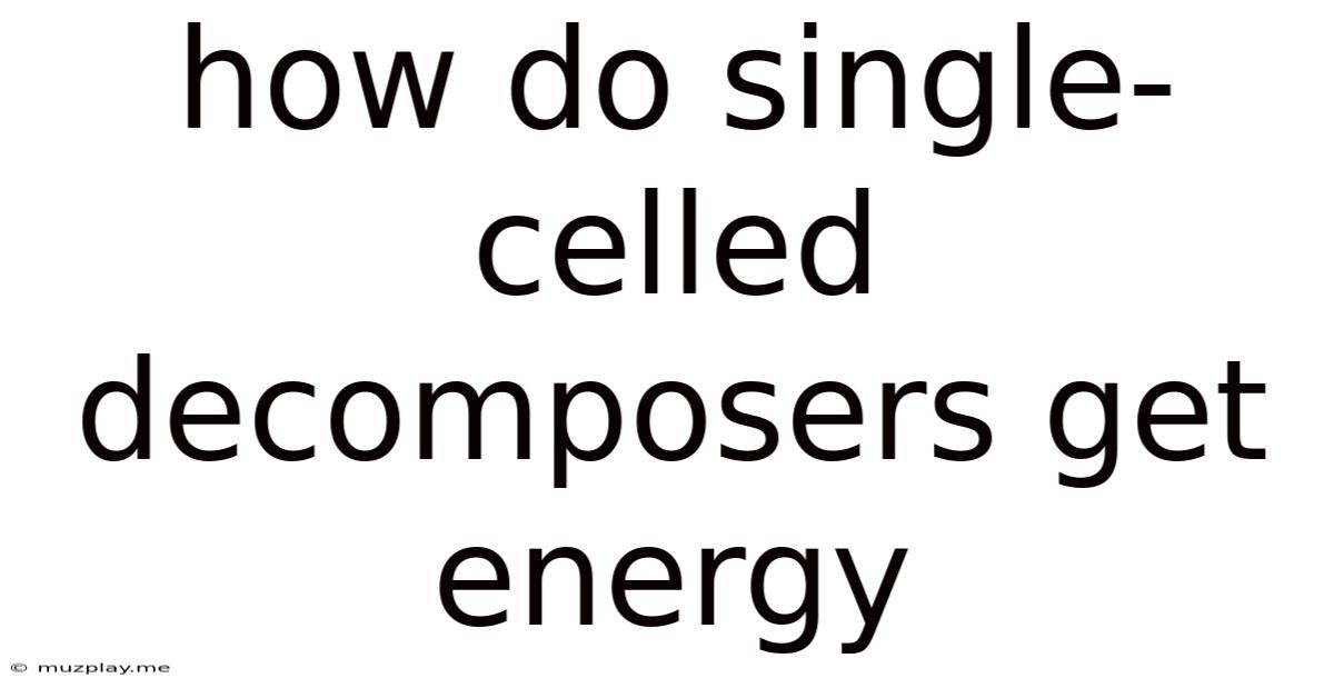 How Do Single-celled Decomposers Get Energy