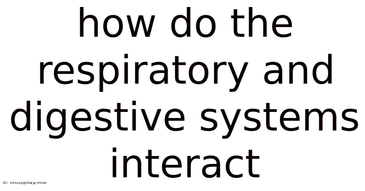 How Do The Respiratory And Digestive Systems Interact
