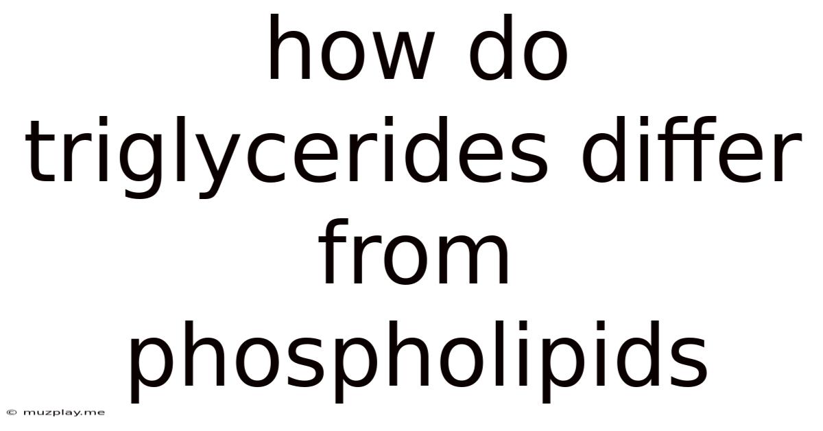 How Do Triglycerides Differ From Phospholipids