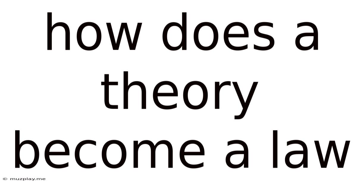 How Does A Theory Become A Law