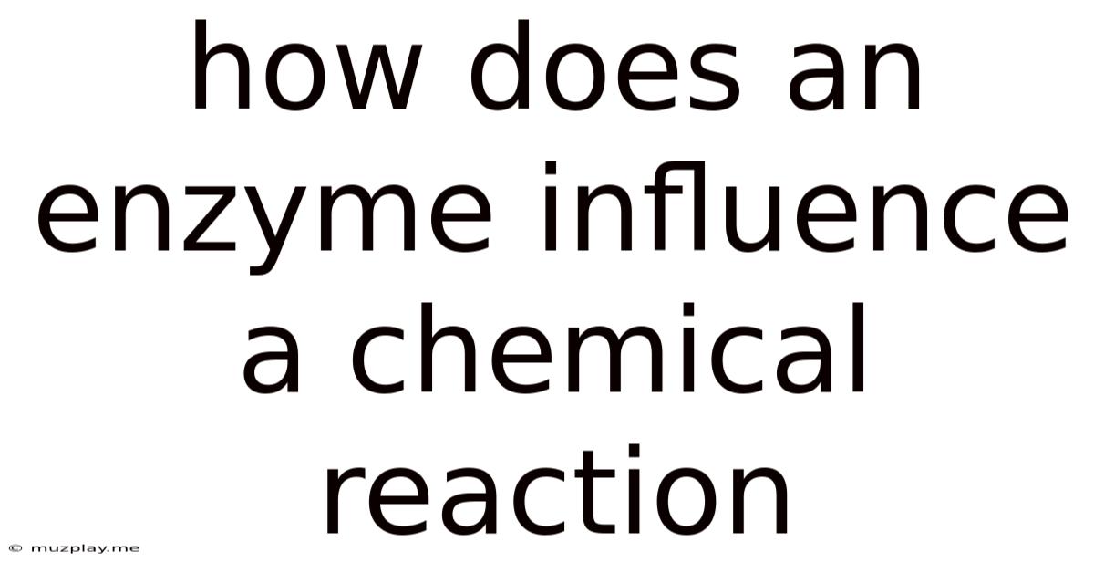 How Does An Enzyme Influence A Chemical Reaction