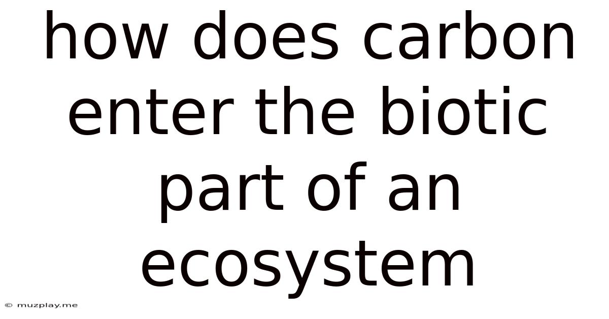 How Does Carbon Enter The Biotic Part Of An Ecosystem