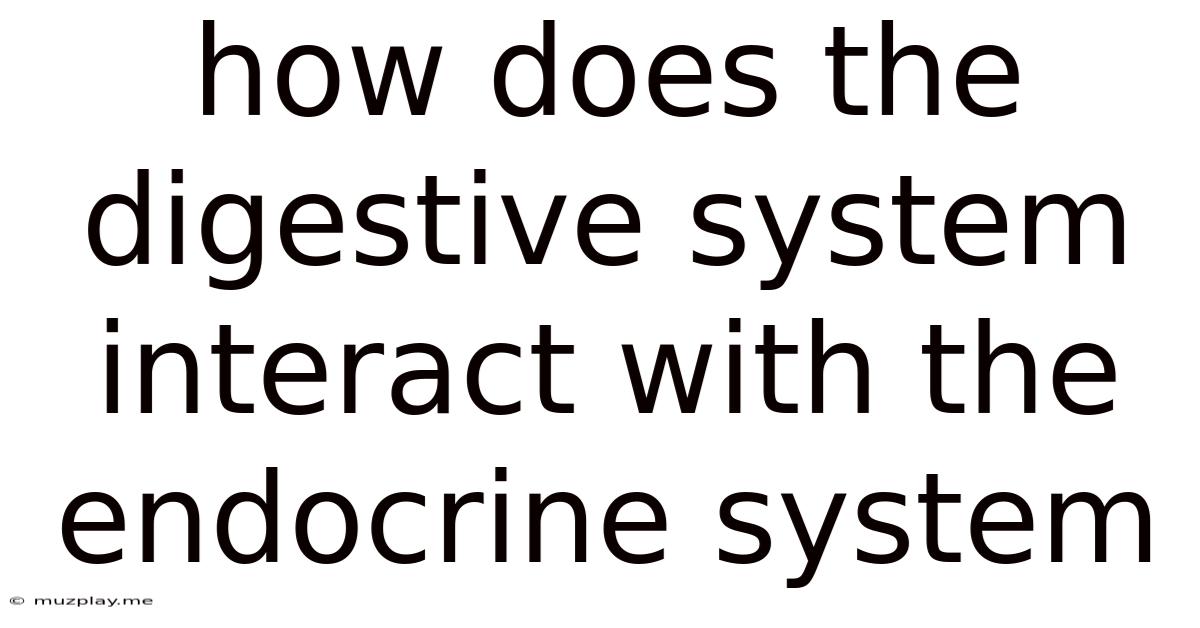 How Does The Digestive System Interact With The Endocrine System