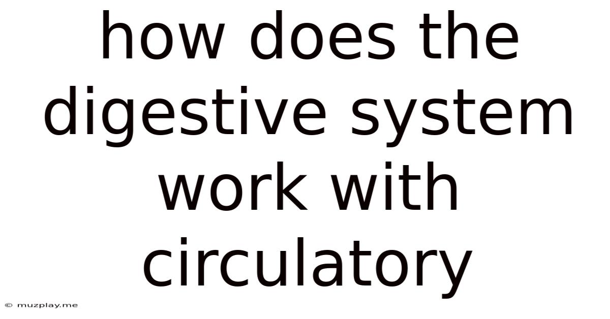 How Does The Digestive System Work With Circulatory