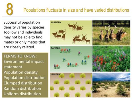 How Is A Clumped Population Distribution Beneficial For Prey Animals