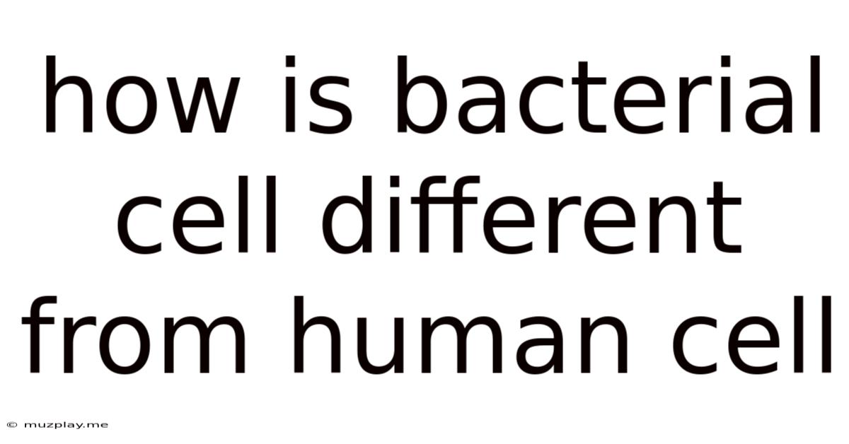 How Is Bacterial Cell Different From Human Cell