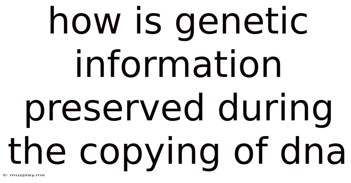 How Is Genetic Information Preserved During The Copying Of Dna