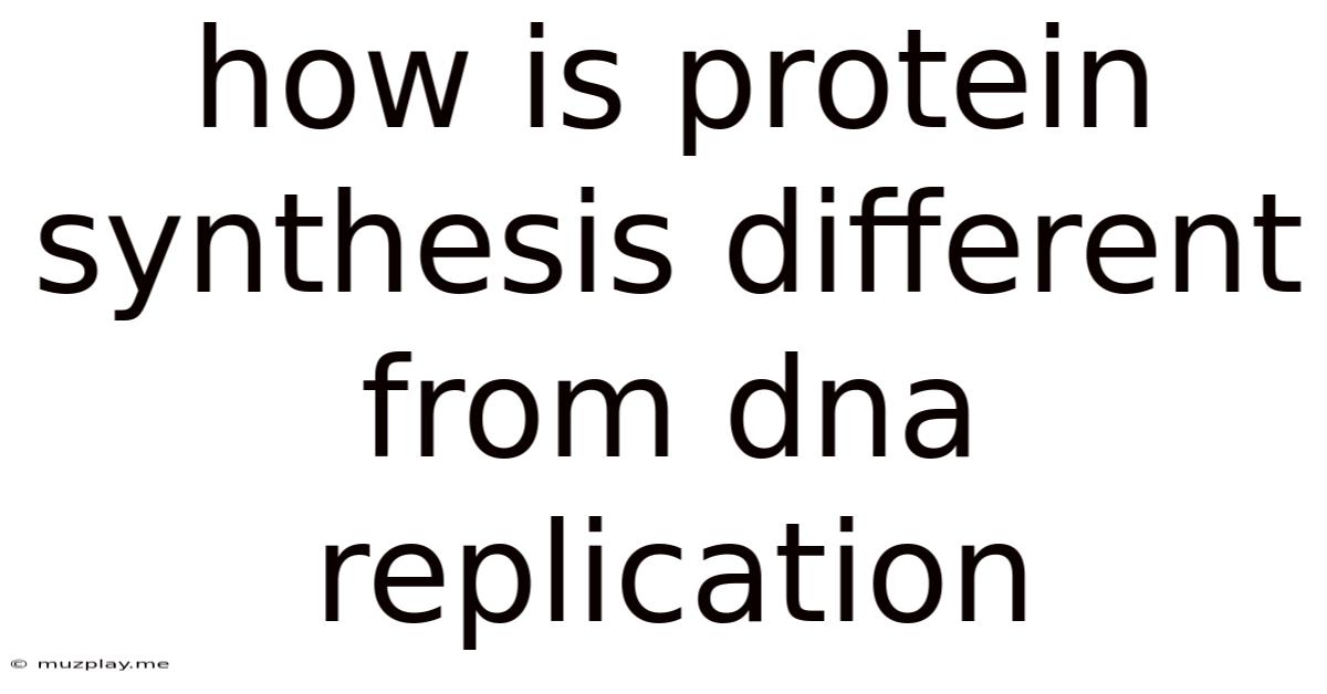 How Is Protein Synthesis Different From Dna Replication