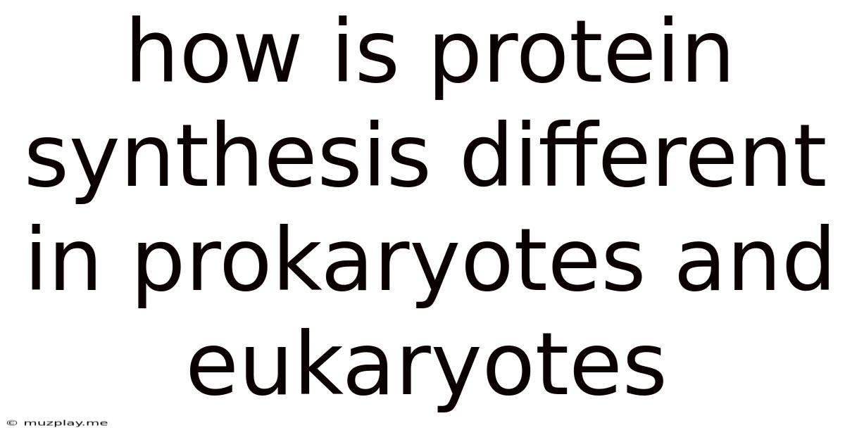 How Is Protein Synthesis Different In Prokaryotes And Eukaryotes
