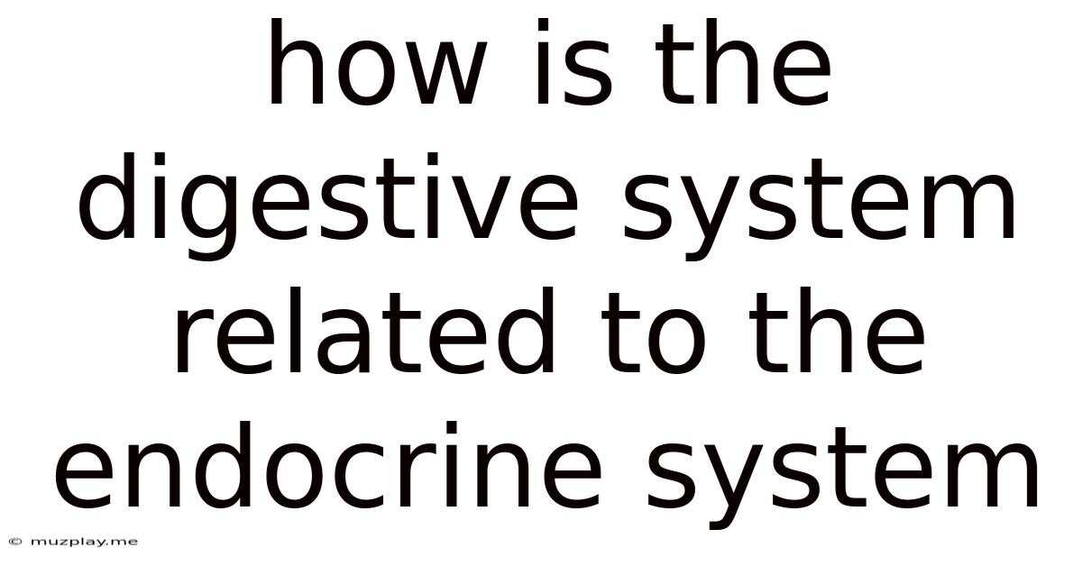 How Is The Digestive System Related To The Endocrine System