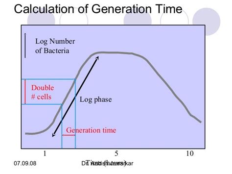 How Long Does It Take Bacteria To Double