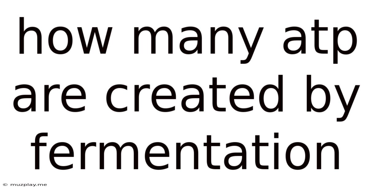 How Many Atp Are Created By Fermentation