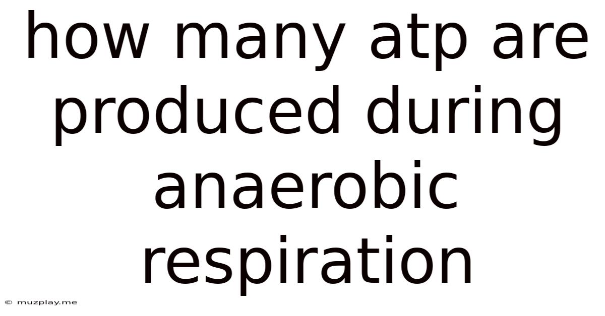 How Many Atp Are Produced During Anaerobic Respiration