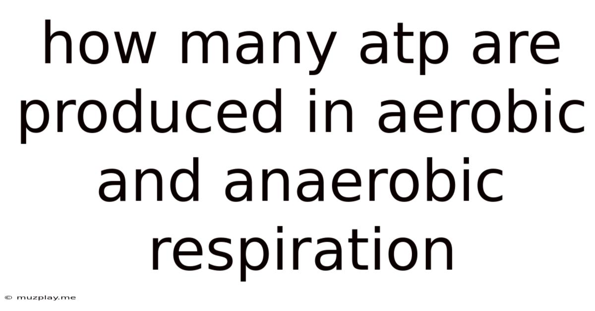 How Many Atp Are Produced In Aerobic And Anaerobic Respiration